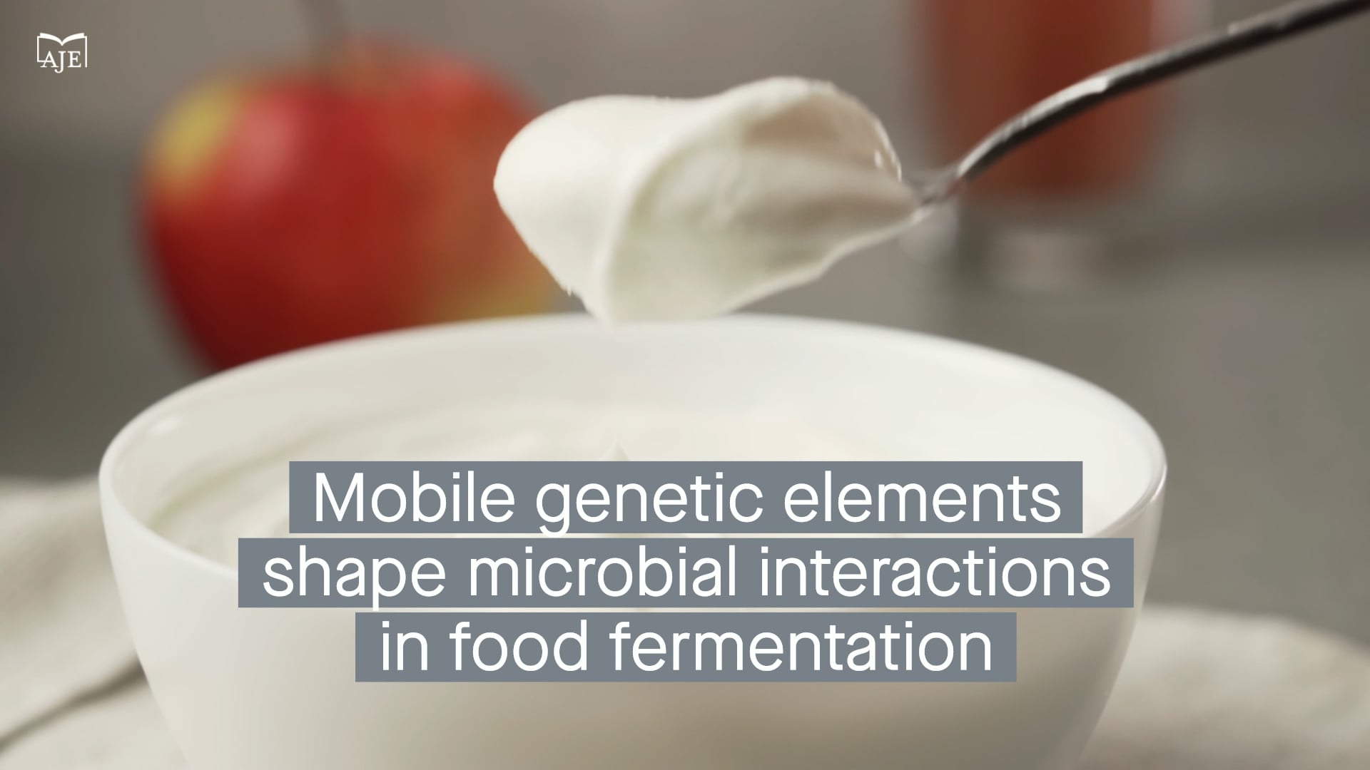 Mobile genetic elements shape microbial interactions in food fermentation